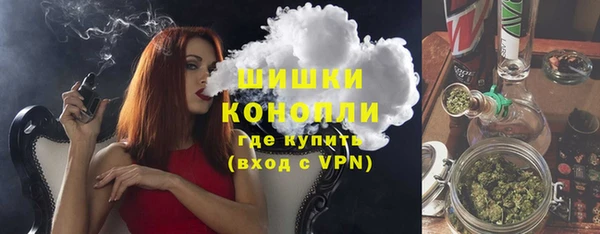 винт Бородино