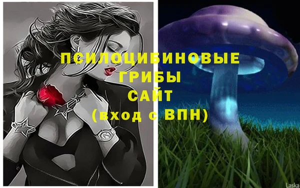 винт Бородино