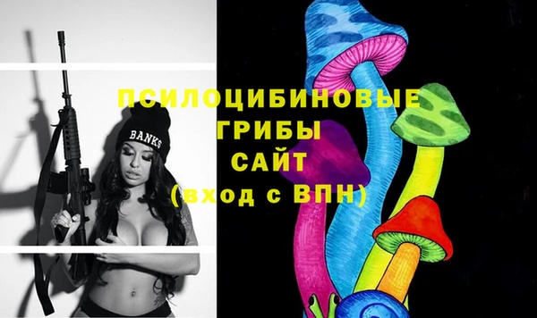 винт Бородино