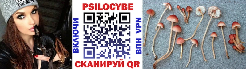Галлюциногенные грибы Magic Shrooms  мега зеркало  Кисловодск 
